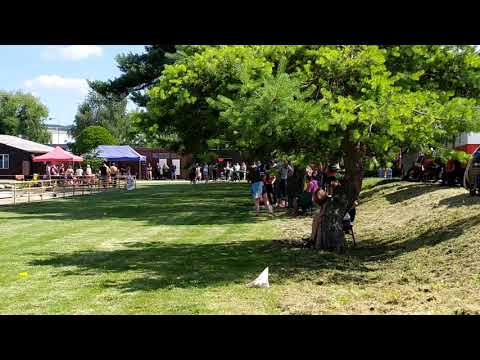 SDH Čeložnice - Petrov 2020 - 2. pokus - 19:92