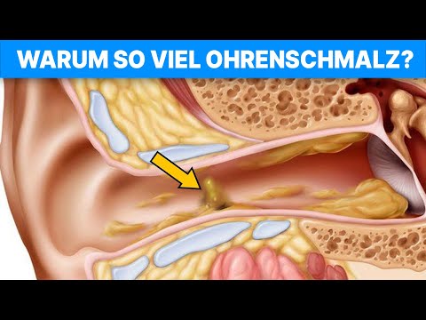 👂🏼Wie funktioniert Ohrenschmalz (und warum gibt es ihn) ?