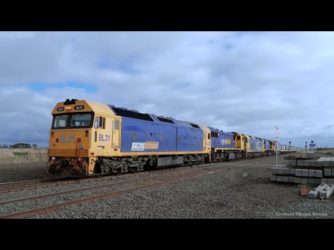 Five Diesel Locomotives On 7736V Pacific National Grain Train (26/5/2023) - PoathTV Railways