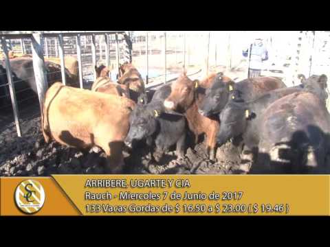 07-06-17 Venta de Hacienda al Kilo - Arribere, Ugarte y Cia - Rauch.