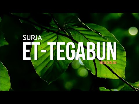 Një recitim plot qetësi dhe rehati | Surja Et Tegabun