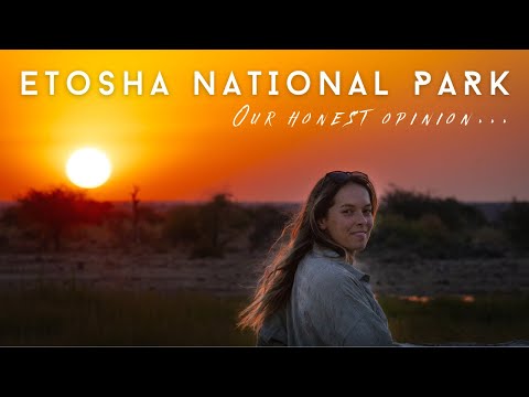 Etosha National Park Self-Drive | Overlanding Namibia | Full-Time Travellers | Ep.19