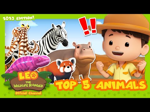 Witness21  2023 07 22