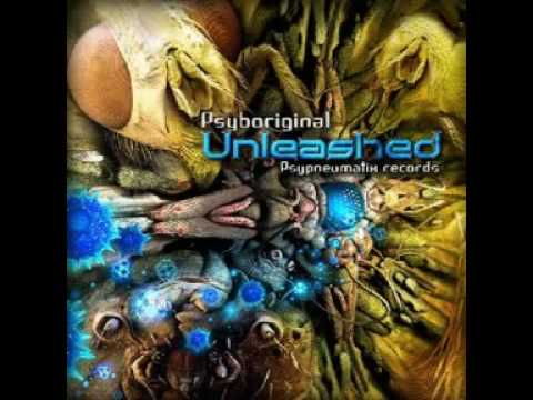 Psyboriginal vs. Electrypnose - Chicago Style:    psytrance