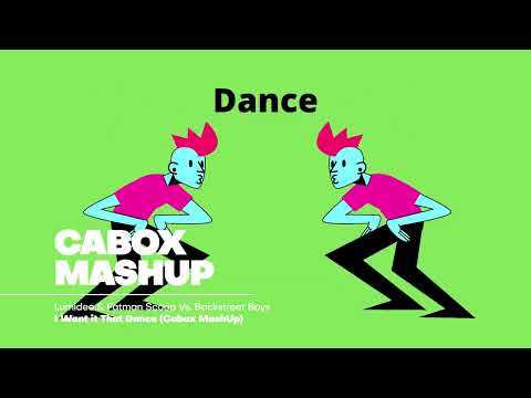 Lumidee & Fatman Scoop Vs. Backstreet Boys - I Want it That Dance (Cabox MashUp)