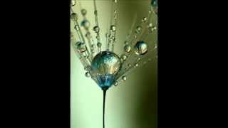 Blake Babies -Watch me now Im calling