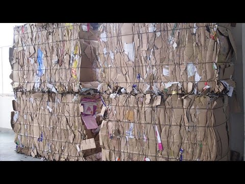 Carton Scrap - Waste Carton Box Latest Price, Manufacturers & Suppliers