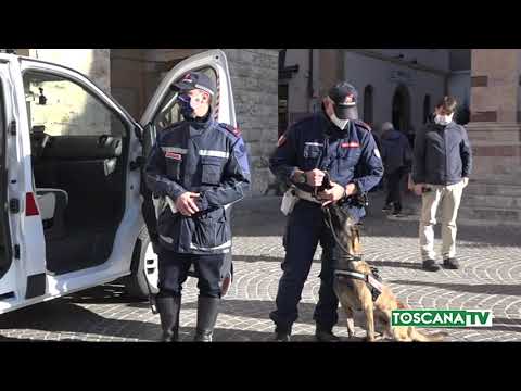 2020-12-26 GROSSETO - NUOVO MEZZO PER LA POLIZIA MUNICIPALE