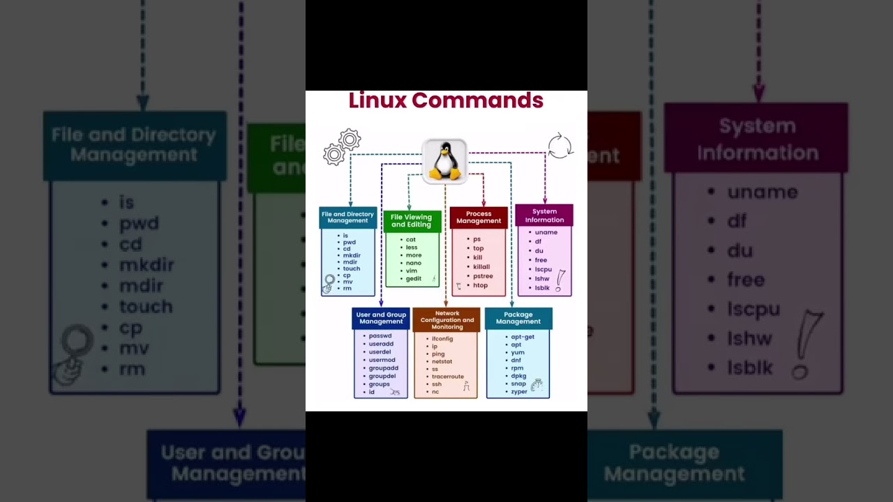 Linux Commands   Learn Linux  Linux from basic to advance