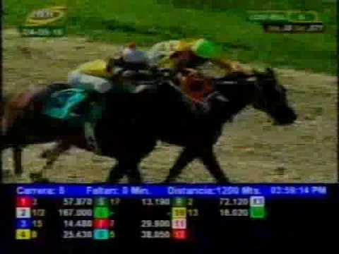 Resumen Jueves, 04 de Agosto de 2016 - Valencia