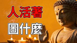忙忙碌碌到底為了什麼？悟透佛陀「借假修真」的智慧，這才是後半生最好的活法。#人生感悟 #禪意生活 #佛系人生 #修行 #智慧人生 #心靈成長 #修心