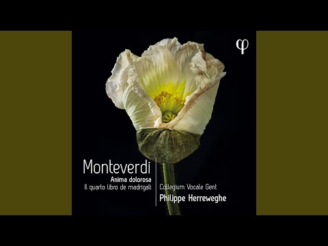 Il quarto libro de madrigali: IX. Voi pur da me partite, anima dura, SV 83