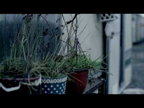 Write The Future - Rooney Caravan