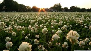 06 Theatre Of Tragedy Let You Down  (2002)