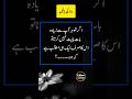 Agar Shohar Aap Sy Ziada Baat Nahi Krta Husband Wife Quotes In Urdu Relationship Quotes