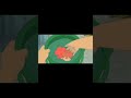 Ponyo On The Cliff By The Sea Part 1 Anime Hayaomiyazaki Ponyo