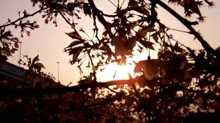 Little　Wing（JimiHendrix　Cover）バンディ石田（Vandy Ishida)