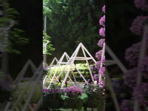 DUBAI MIRACLE GARDEN 2020 | NIGHT TOUR #SHORT