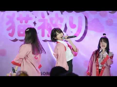 Akishibu way focus neko cmj 6/8/65