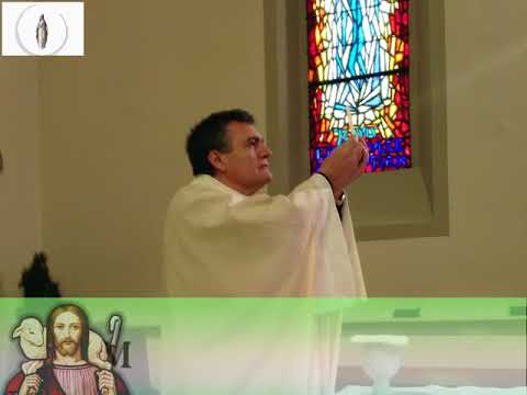 Homilía. Santa Teresa Benedicta de la Cruz 09/08/18. P. Santiago Martín, FM