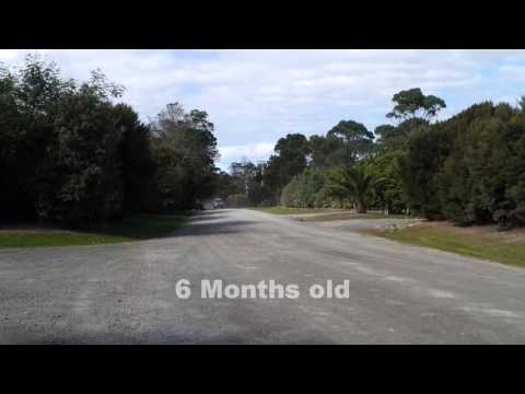 Gravel Lock New Zealand Limited - Hygroscopic Soil Cement :  Dust Suppression and Soil Stabilization