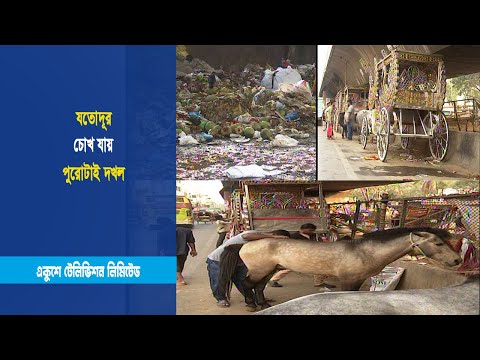 যতোদূর চোখ যায় পুরোটাই দখল | Hanif Flyover | ETV News