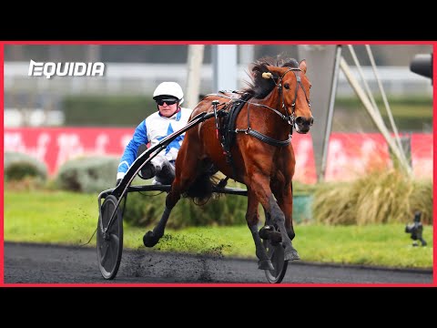 PRIX DE FRANCE SPEED RACE 2023 | Ampia Mede SM, dauphine devenue Miss France | Groupe 1 | Vincennes
