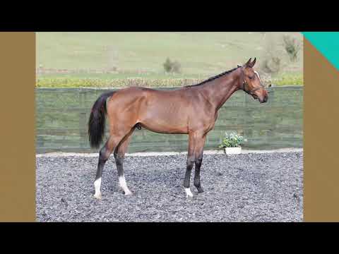 Bolesworth A-List Auction 2023 - Lot 11 : Millfield Comic