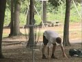 2006 PDGA Professional Disc Golf World Championship