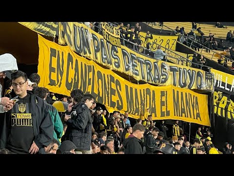 "Hinchada de Peñarol vs Danubio / Apertura 2024" Barra: Barra Amsterdam • Club: Peñarol • País: Uruguay