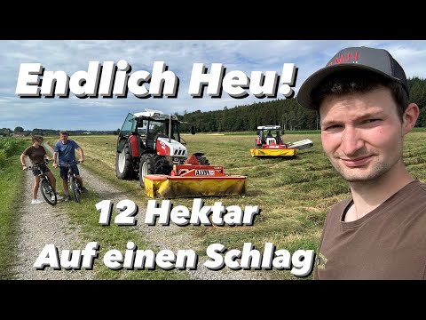 12 Hektar Heu mähen | Steyr 9086 | Steyr 9095 MT | Bauernhofteam |