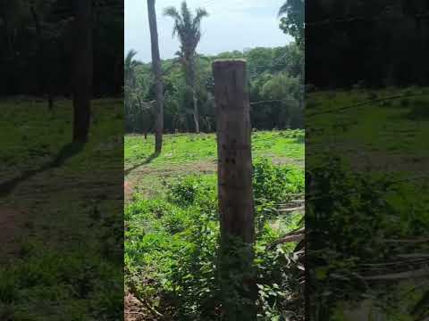 Descanso na Fazendo do Encantado Baliza Goiás 1
