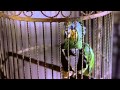 Scary Movie 2 Comady Hindi