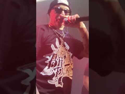 Słoń - Zero Absolutne 2.0 Kraków Kwadrat #słoń #zeroabsolutne #krakow #shorts