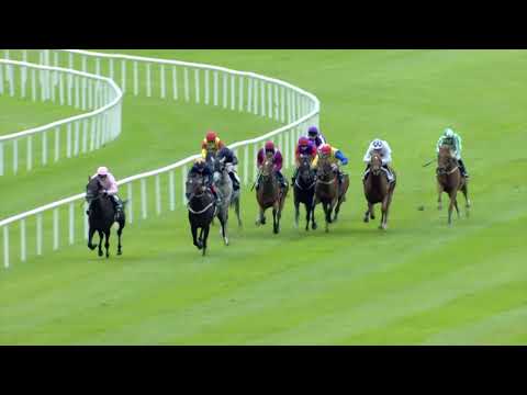 Romanised (Holy Roman Emperor) - Gr.2 Minstrel Stakes