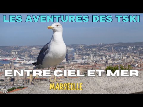 MARSEILLE CITY: BETWEEN SEA AND SUN