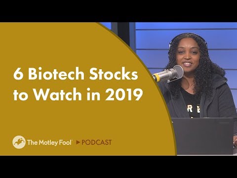 , title : '6 Biotech Stocks to Watch in 2019'