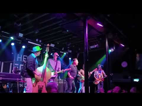 THE STING-RAYS - (Live 2025, Bristol)