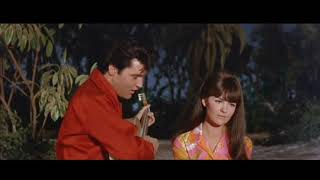 Elvis Presley - The House That Has Everything with Shelley Fabares