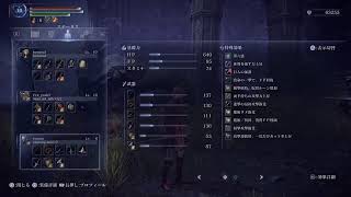【ナイトレイン】野良潜る