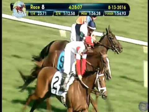 2016 Beverly D. Stakes - Sea Calisi (FR)