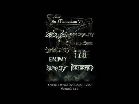 TZB - To Zas Bude - TZB - Klero Punk  /Live In Memoriam VII. Fest Camping Sereď 30.0
