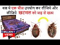 एक ही बार में जड़ से ख़त्म करे खटमल को इस अचूक उपाय से  How To Get Rid of Bed Bugs -bed bugs खटमल