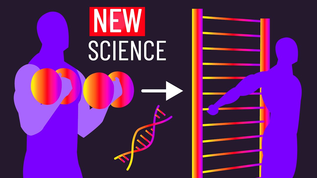 Can Stretching Between Sets TRANSFORM Muscle & Strength?