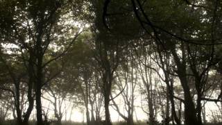 Pater Noster - Tchaikovsky - Stokowski and Norman Luboff Choir.wmv