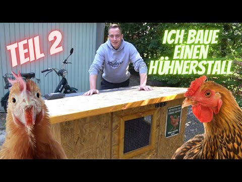 Hühnerstall einfach selber bauen - Teil 2 - Fenster, Dach, Innenraum - kleiner Stall für Anfänger