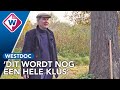 Deze weg legt een boomstam af voordat het een schip wordt