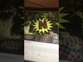 Sesame Street Alphaboy Letter N