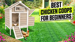 3 BEST Chicken Coop for Beginners - Your Flock Deserves the Right Start!