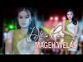 MAGEH WELAS Dhista Rara Banyuwangi Song Panjak Osing